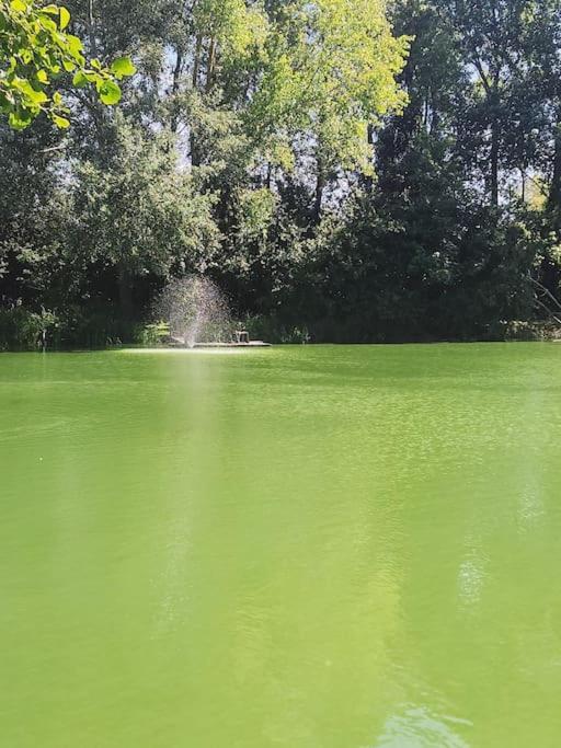 Chalet La Perle De L'etang - Deconnexion Totale Bourbourg